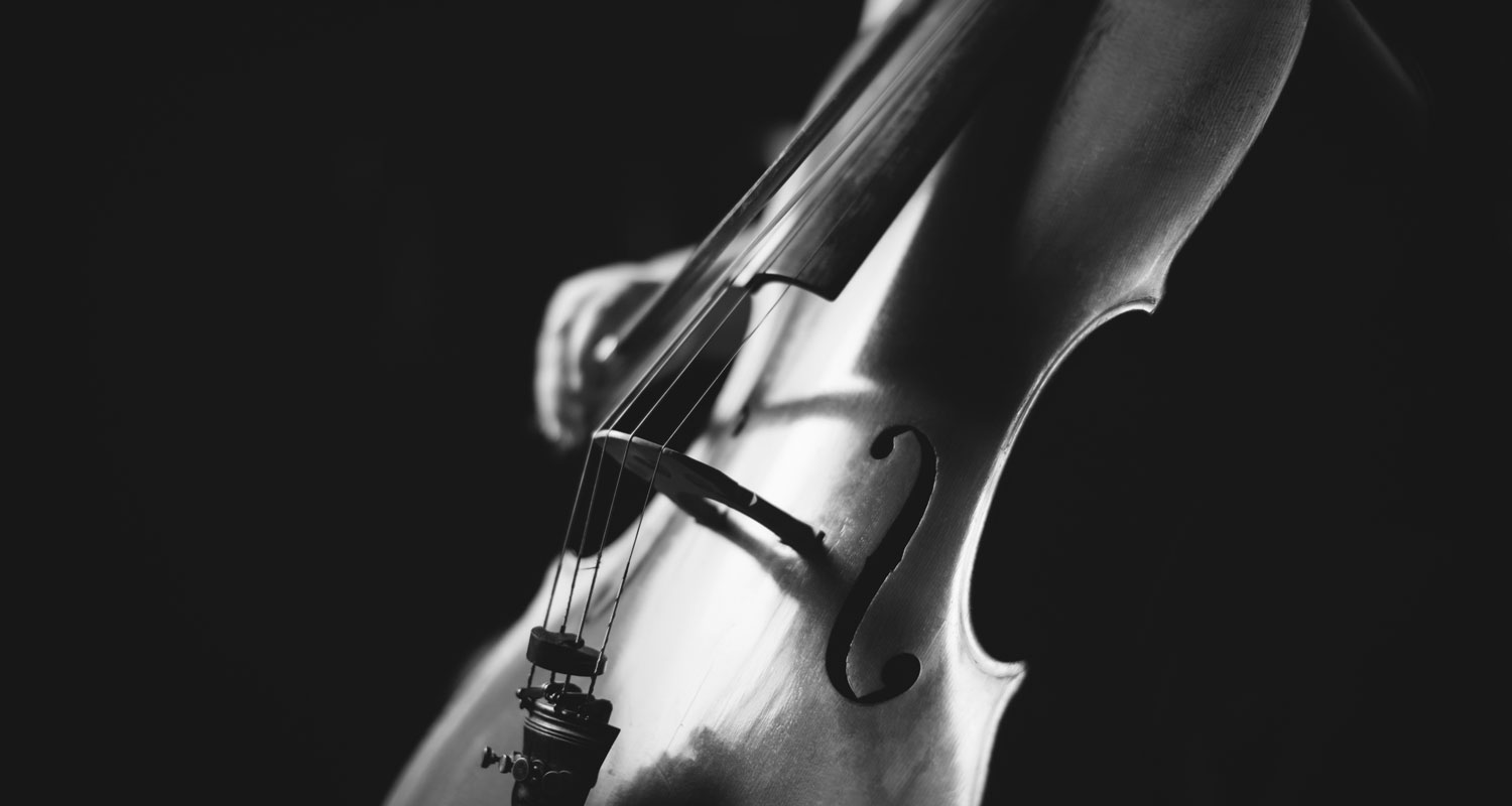 Musikschule Schweder Violoncello