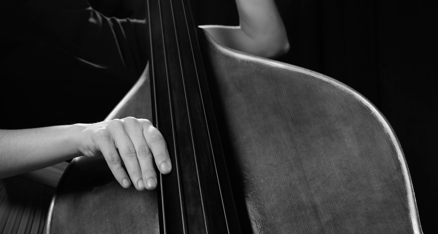Musikschule Schweder Kontrabass