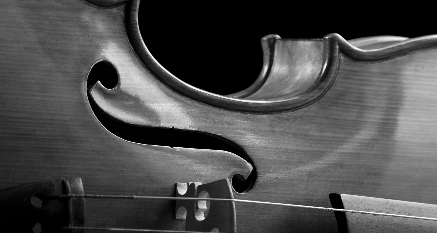 Musikschule Schweder Viola